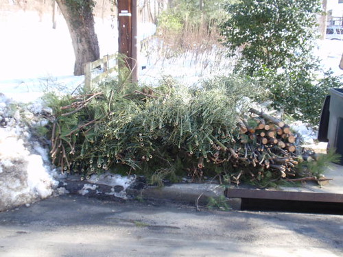 Yard debris removal project in Fayetteville